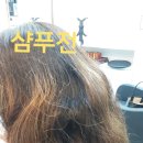 임성은헤어랩 이미지