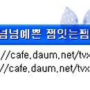 왓어왓 Daum카페
