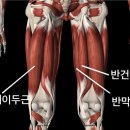 가디언 오브 갤럭시 PT 이미지