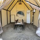 당당이 애견 이미지