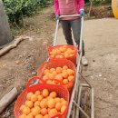 성훈농장 이미지