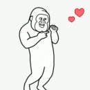 제이페이버 이미지