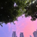 호댄스 콘서트 이미지