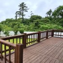 마이독스 이미지