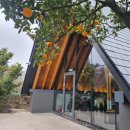 제주 방선문 | 제주 공항근처 카페 커피유지웍스 내돈내산 후기 ㅣ솔직리뷰