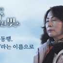 로사리아