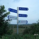 금호강영천 이미지