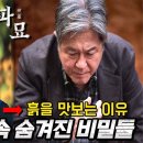 파묘에서 흙맛이 의미하는 것(주의: 스포, 결말 포함) 이미지