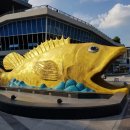 단양쏘가리 이미지