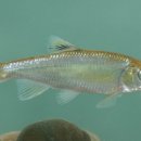 섬진강순환1 이미지