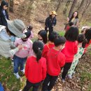 금성초병설유치원 이미지