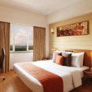 레몬트리 호텔(Lemon Tree Hotel) 이미지