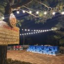 스테이523 이미지