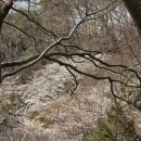 도심건강길 5길 이미지