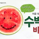 수박씨 이미지