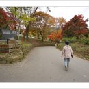 마곡사가는길
