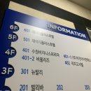 비올리즈광주점 | 강남 속눈썹 연장 1티어 ‘비올리즈’ / 6년째 다닌 내돈내산 후기
