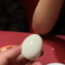 투다리금정점 이미지