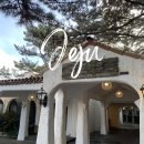 41190-01-07-228 | 제주 허니문하우스｜영화 촬영지라서 더 기억에 남은, 여행 중 스쳐간 공간 기록