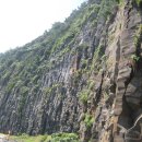 제주 올레길 8코스 이미지