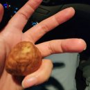 입장거봉포도(서울) 이미지