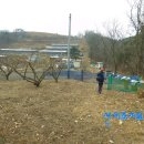 금박산농장 티스토리