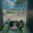 제주 개구리펜션 가족독채펜션 | [스테이 낙천적] 제주 가족여행에 딱! 독채펜션 후기