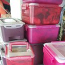 에버스트리트2 이미지