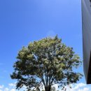 이과수빌라옆 | 브라질 포즈 두 이과수 -> 아르헨티나 푸에르토 이과수