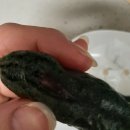 명성수리취떡 이미지