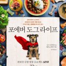 도그라이프 이미지