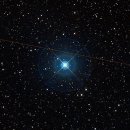 붙박이별(Polaris) 이미지