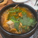 싱싱해싱싱어수성본점 | 대구 신천시장 맛집 [싱싱해싱싱어] 프라이빗한 룸에서 즐기는 시그니처 회 코스요리 내돈내산 후기