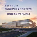 매미 플레닛 이미지