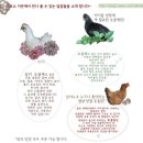 시일농장 이미지