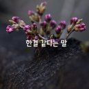 한결 이미지