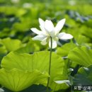 상쾌한 항구병원 이미지