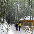 명옥헌민박 이미지