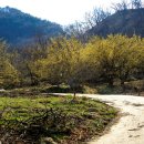 현천마을 이미지