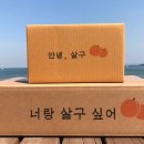 초아농원 네이버블로그