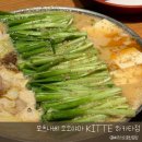 오오야마 | 일본 후쿠오카 하카타 맛집, 아이와 가기 좋은 모츠나베 오오야마 KITTE 하카타점 솔직후기