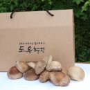 도은농장 이미지