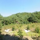 강릉 햇빛 공인중개사사무소 이미지