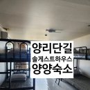 솔게스트하우스 | 양양게스트하우스 추천, 오션초이스 풀패키지로 다녀온 솔게스트하우스 양양서핑점 후기