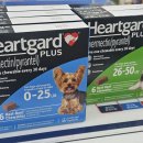 서평택약국 이미지