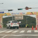2023 청주 청원생명축제 주차장, 먹거리, 포토존 가을축제