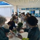 애버그린 이미지