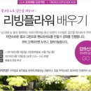 리빙플라워 이미지