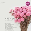 유일에 대한 묵상 이미지