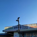 성주주유소 - 부평구 | 🏡 성주 단독주택 CCTV 설치 후기｜비닐하우스·밭·마당 출입구까지 한눈에 관리하는 외부 CCTV 설치...